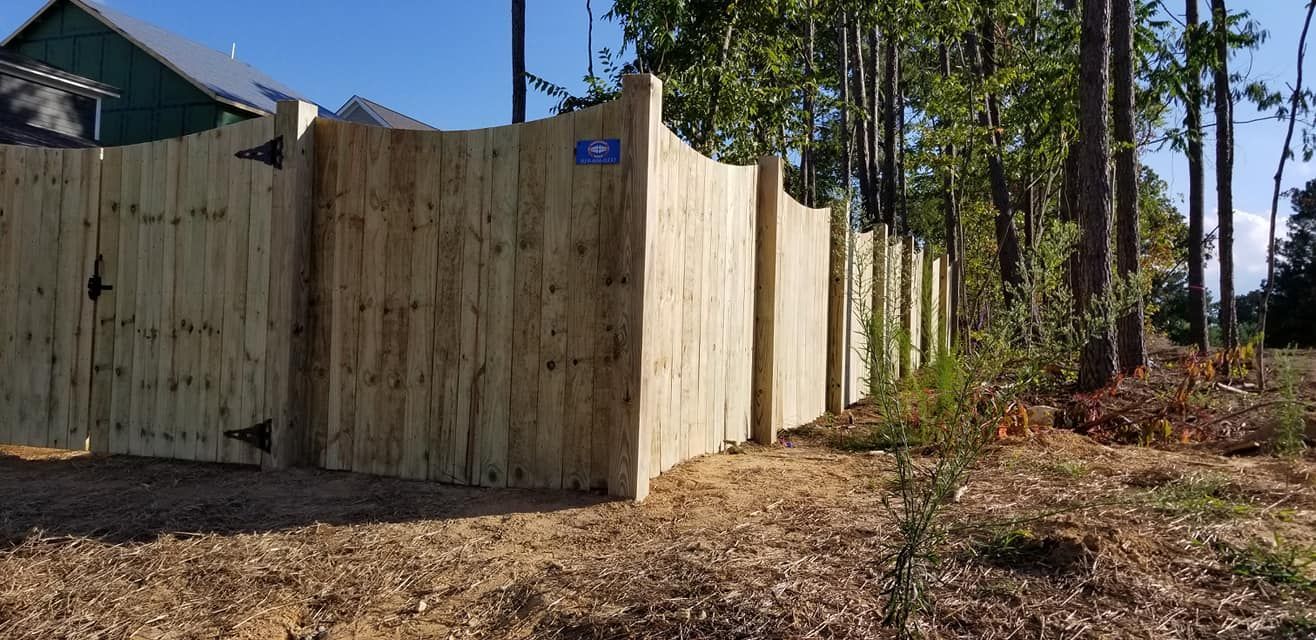 Wooden privacy fence along a dirt path beside tall pine trees on a sunny day