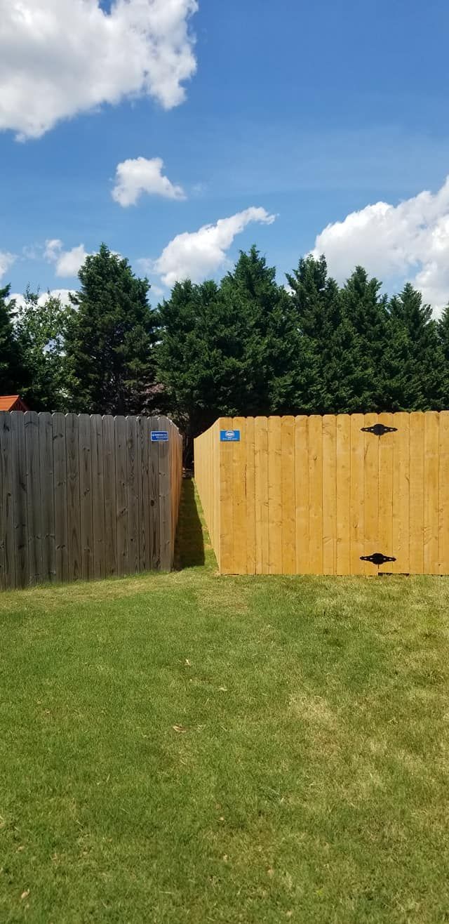 Grassy backyard with wooden fence, green trees, and blue sky with clouds