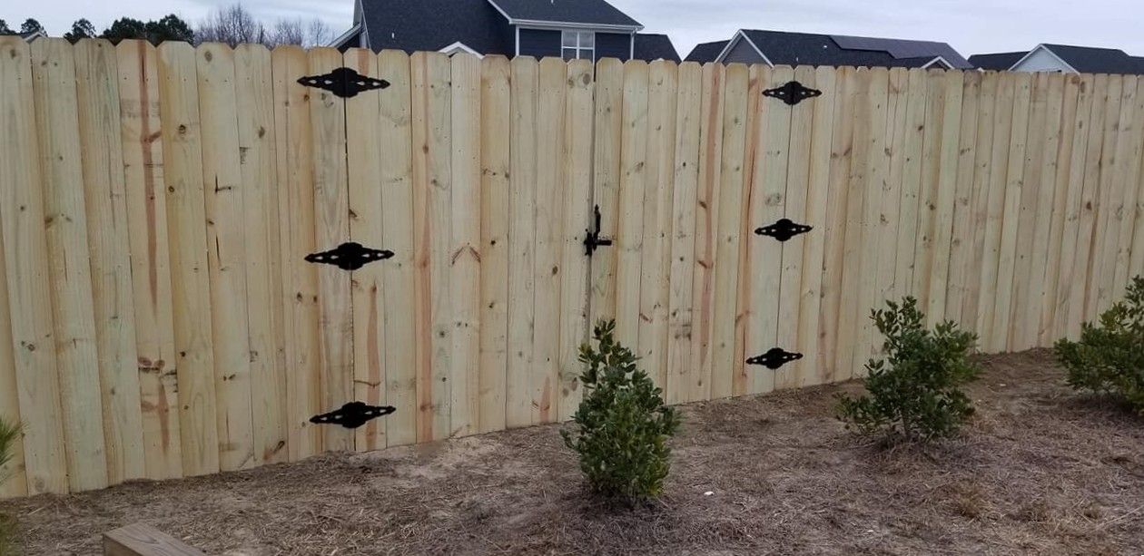 Tan wooden privacy fence with black hinges and latch, viewed from a yard with small shrubs.