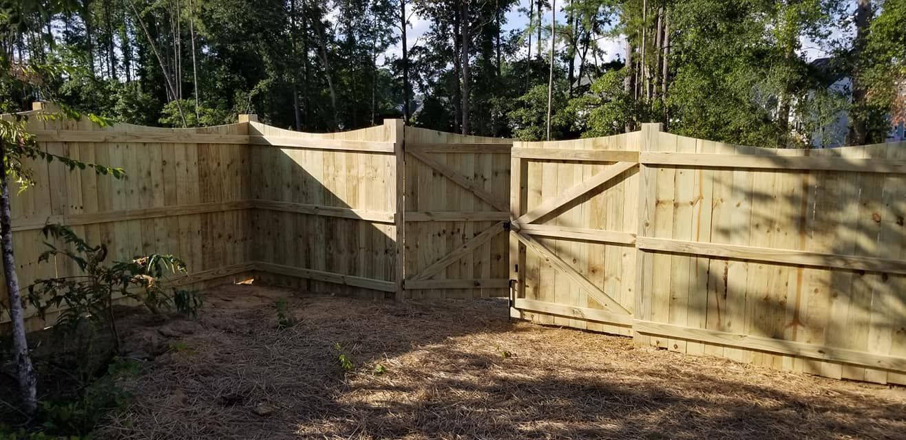 Sunlit wooden backyard fence with gates and trees in the background
