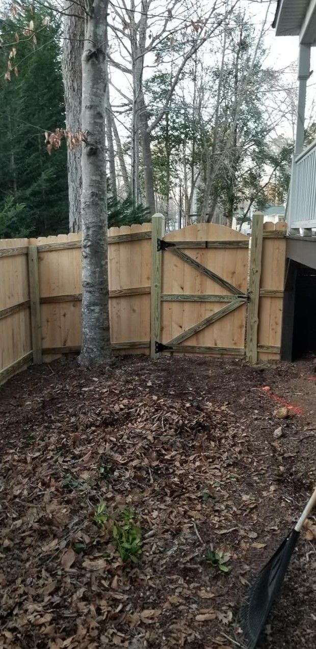 Wooden fence with a gate beside tall trees in a leaf-covered backyard