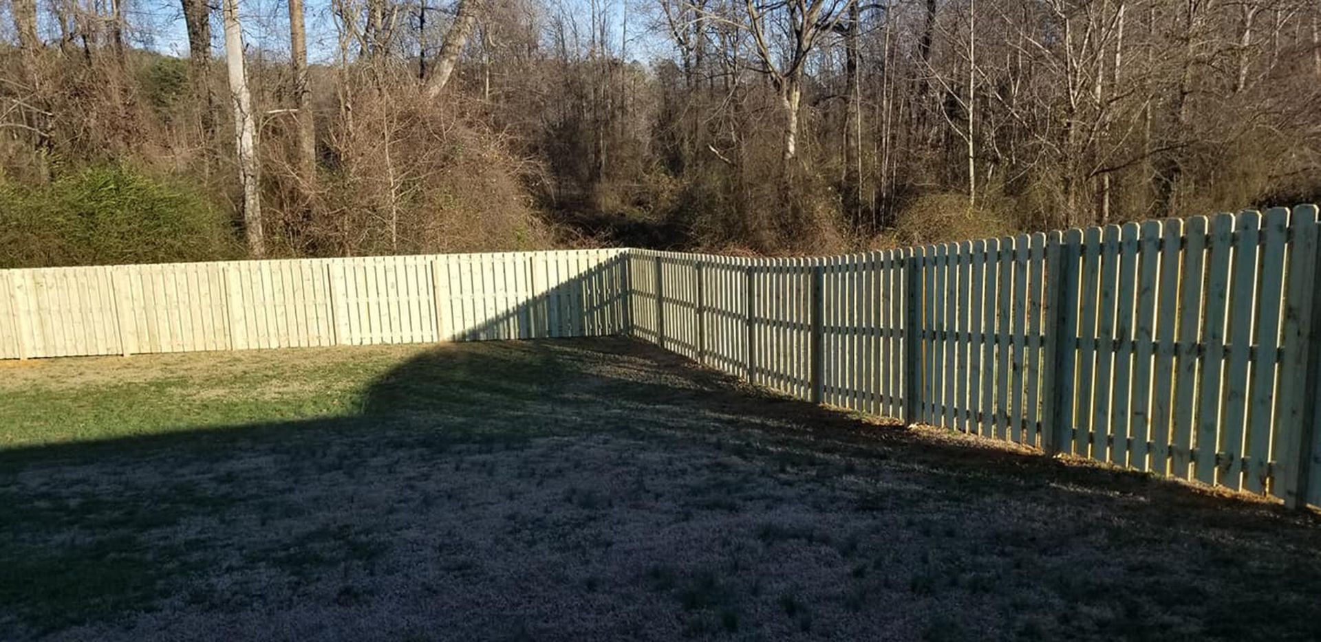 Sunlit grassy yard beside a long wooden fence and metal railings, with trees in the background