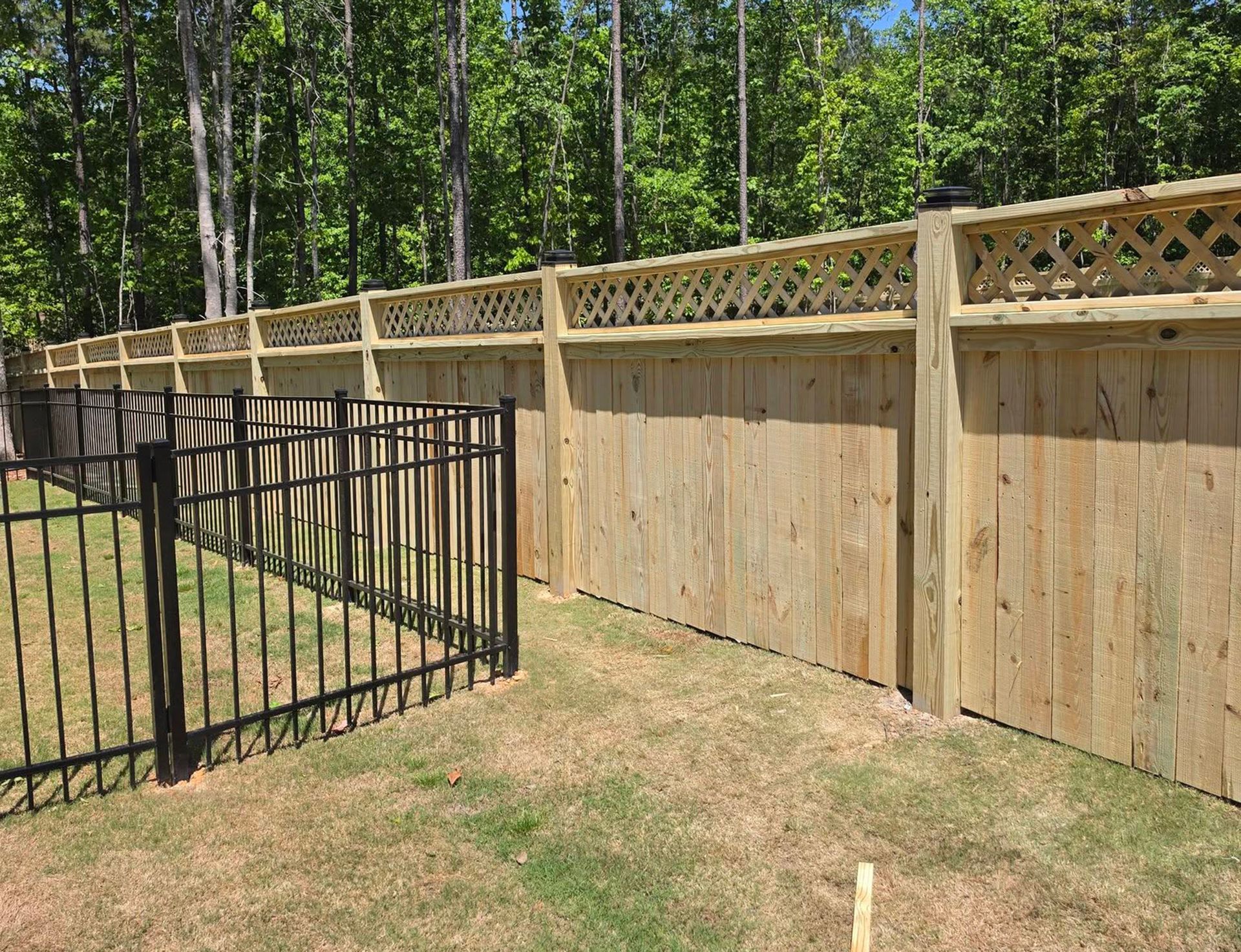 Black metal gate beside a wooden privacy fence in a sunny backyard with trees beyond.