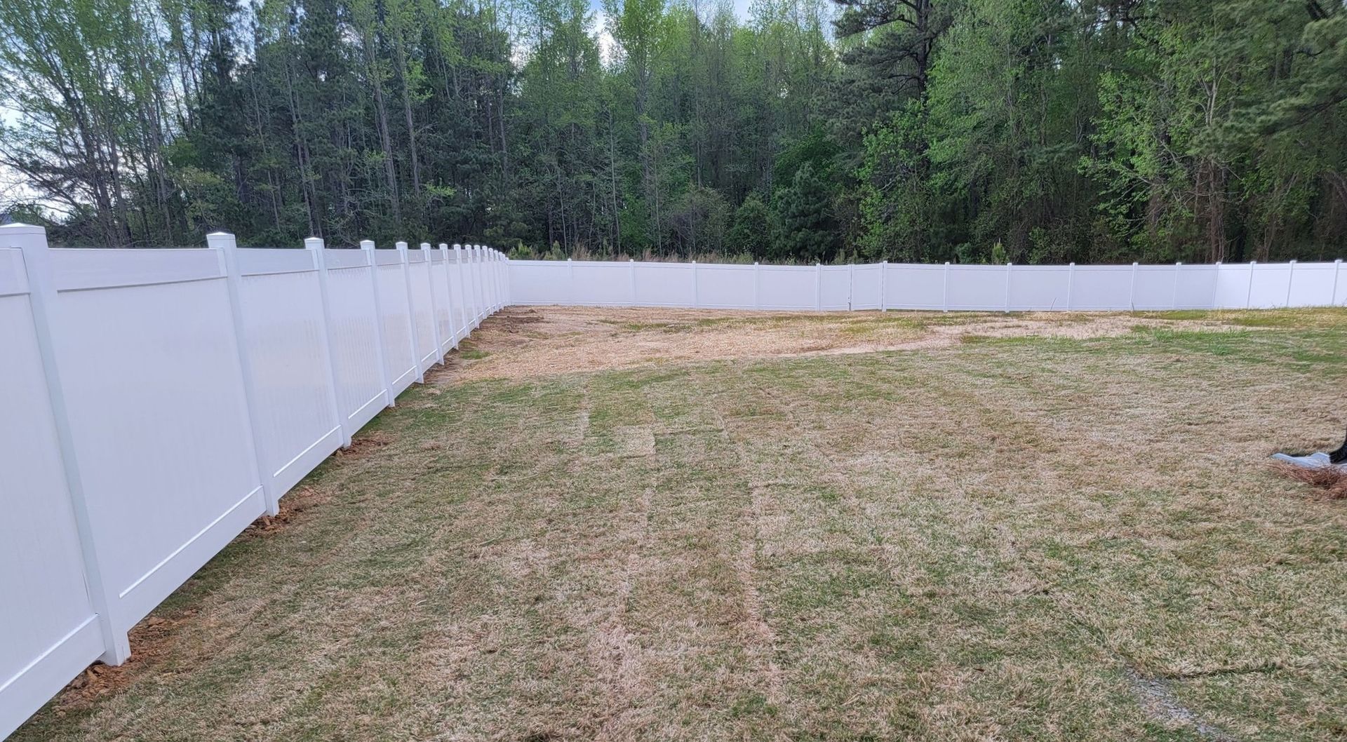 Backyard with white fence, patchy grass, and a tree line in the distance