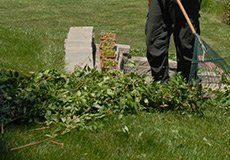Spring and fall cleanups