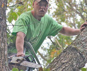 Tree Removal