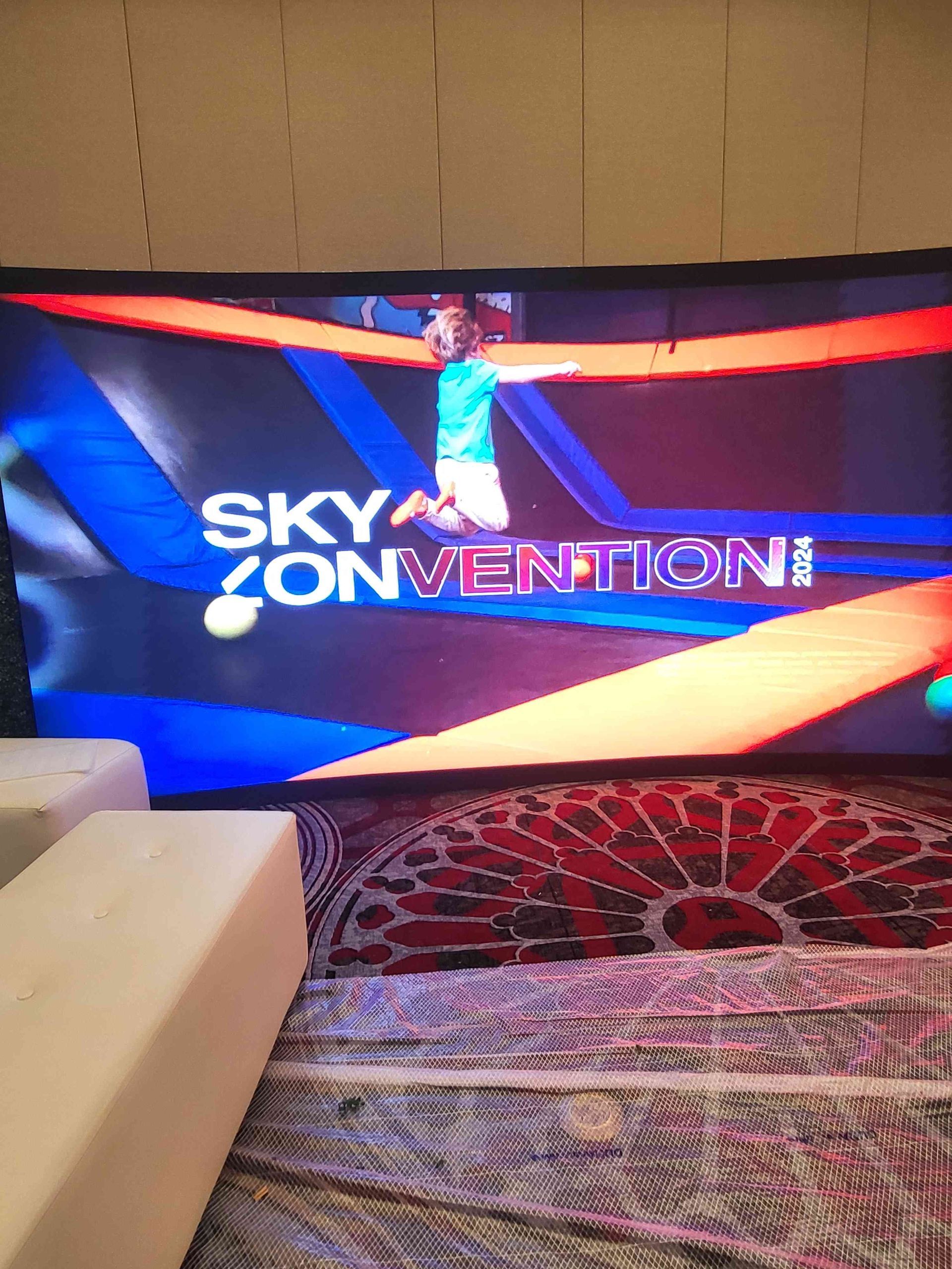 Sky Convention on a TV screen; person on it, sofa in front.