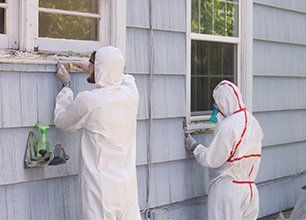 Lead paint removal
