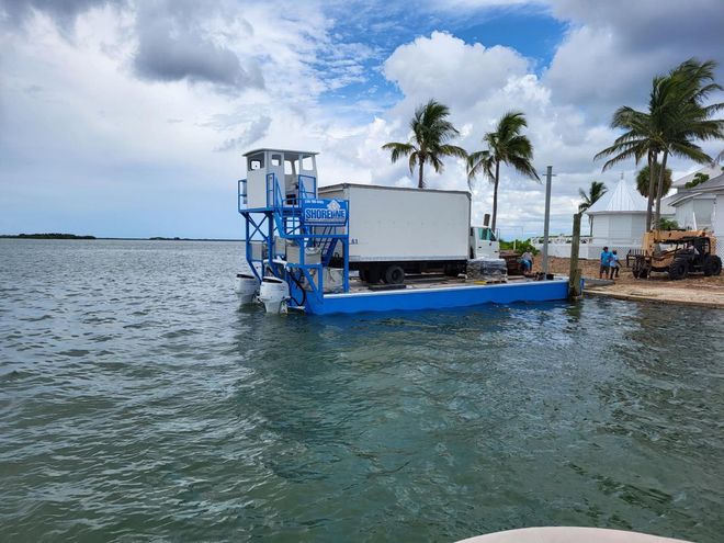 Blue ferry docked by palm trees on a choppy waterfront under cloudy skies