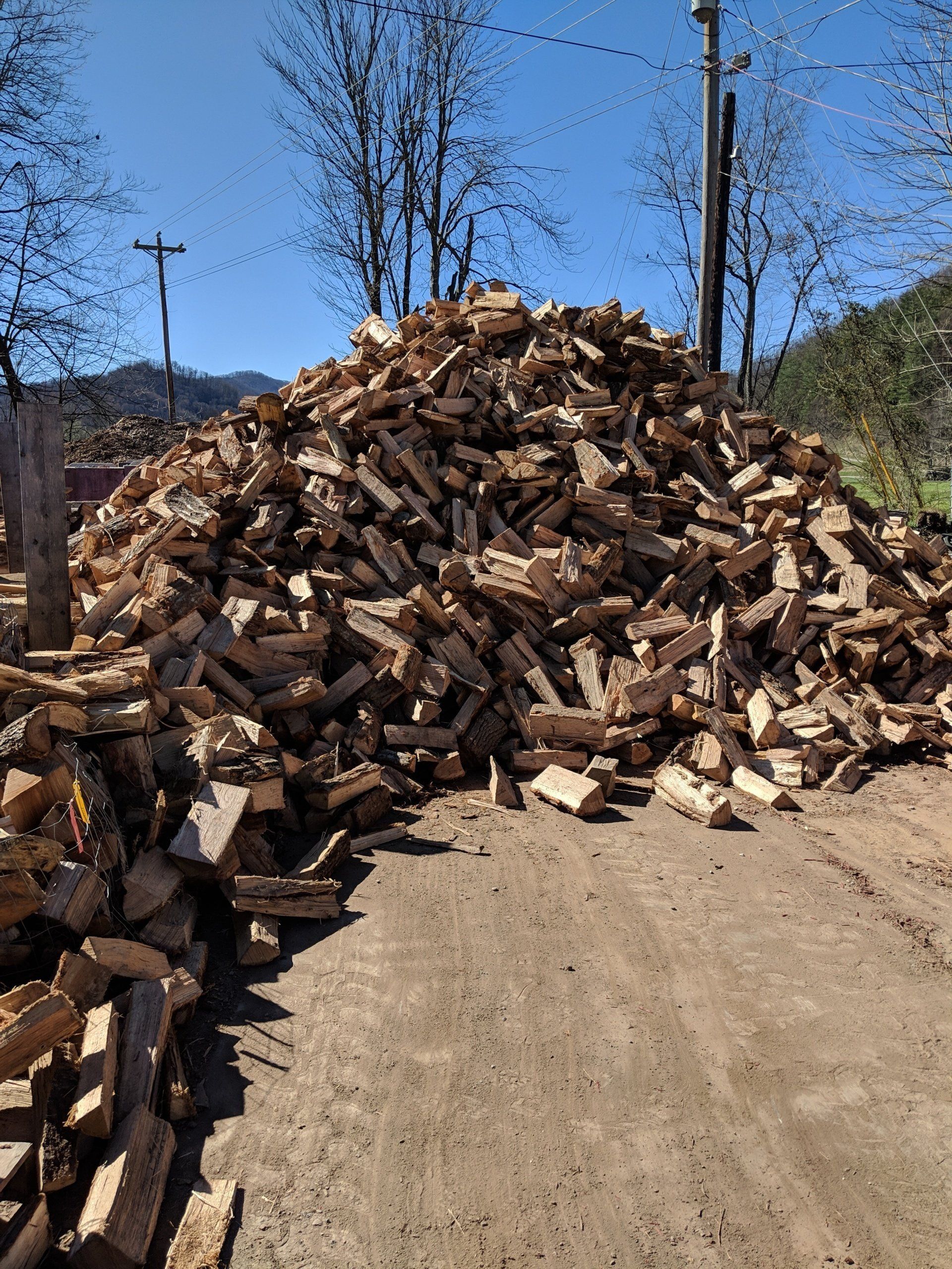Firewood
