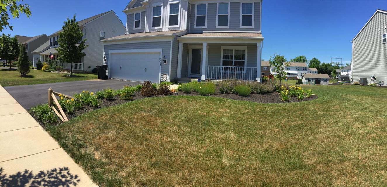 Landscaping services