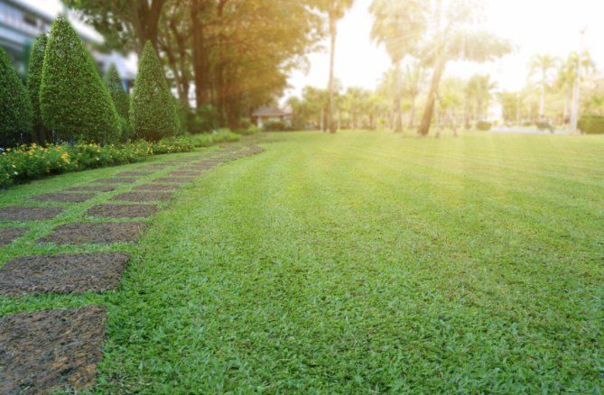 Landscaping services