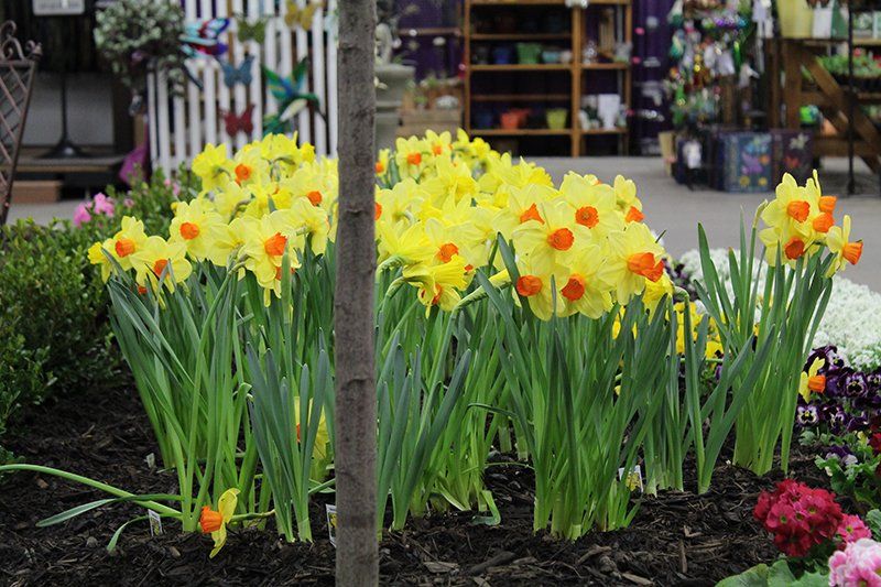 Landscaping services