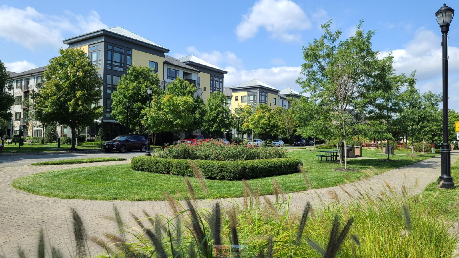 A park with a lot of trees and bushes in front of a building.