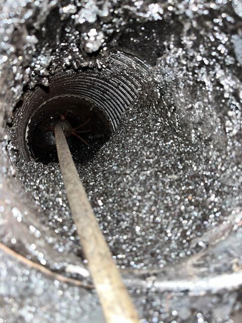 A close up of a drain with a hose sticking out of it.