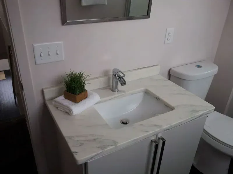 Bathroom vanity with white sink, marble countertop, and chrome faucet. Small plant and towel on counter.