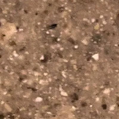 Close-up of a brown, speckled textured surface with small light and dark spots.