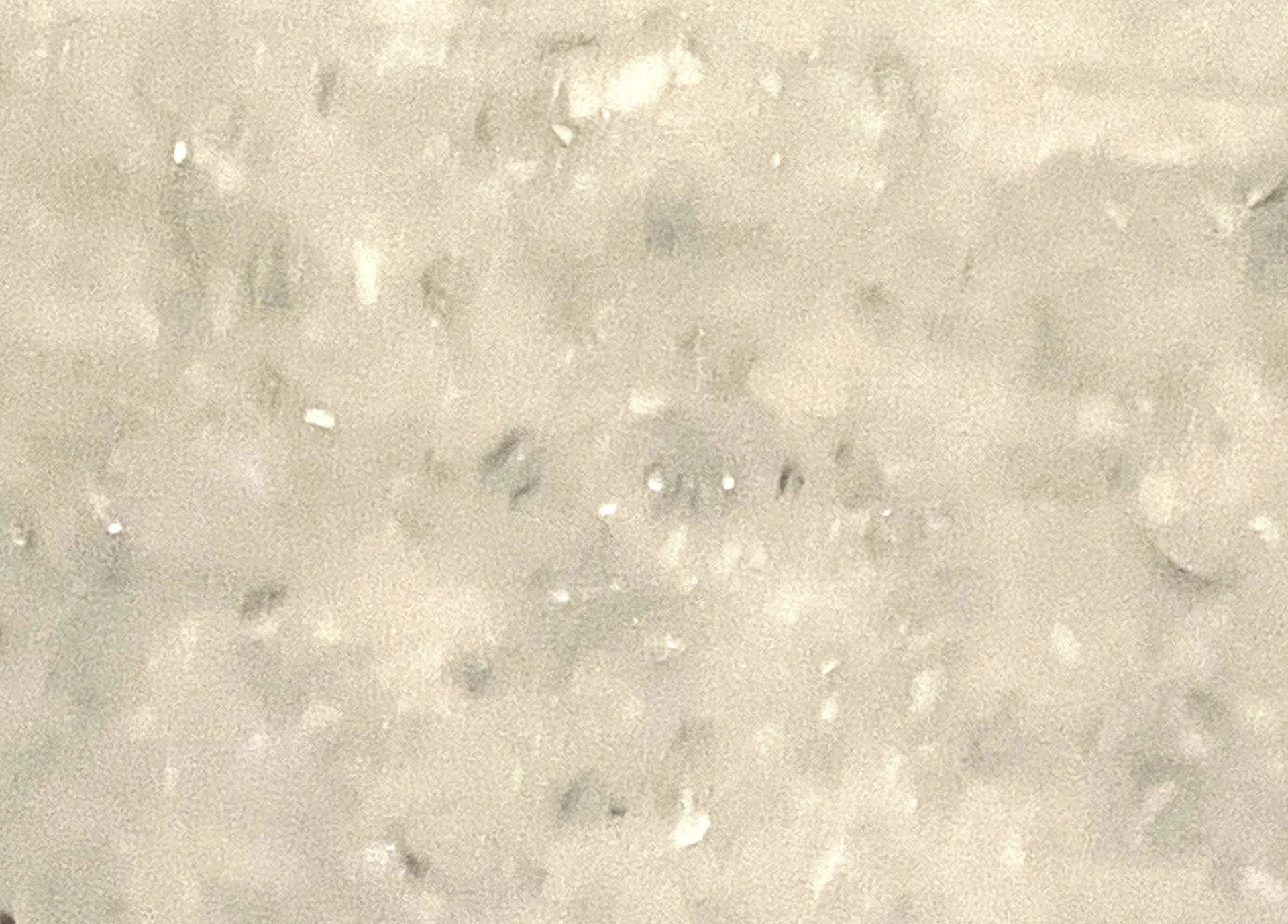 Close-up of a pale beige, grainy surface with small specks and soft texture