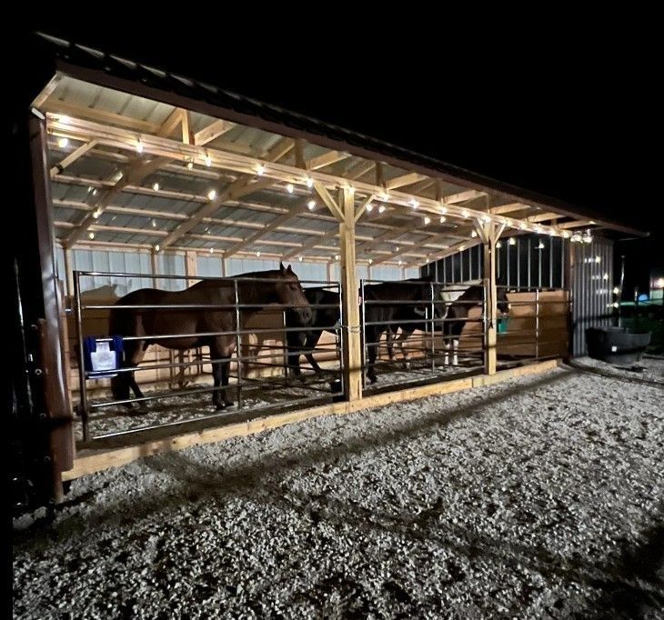 Horses in a lit stable at night. Wooden structure, gravel ground, string lights.