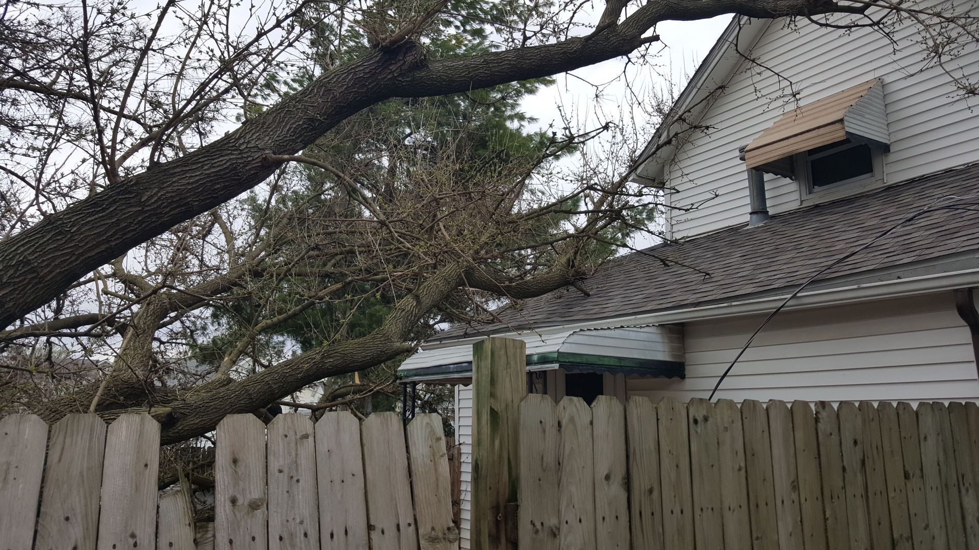 A large tree branch overhanging a wooden fence and a two-story white house with a brown awning.
