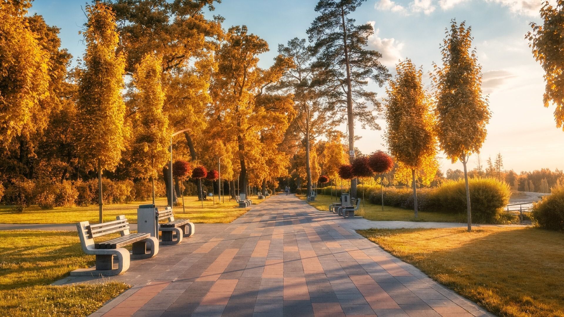 Pathway in autumn park, lined with trees in golden foliage, benches, and sunlight.
