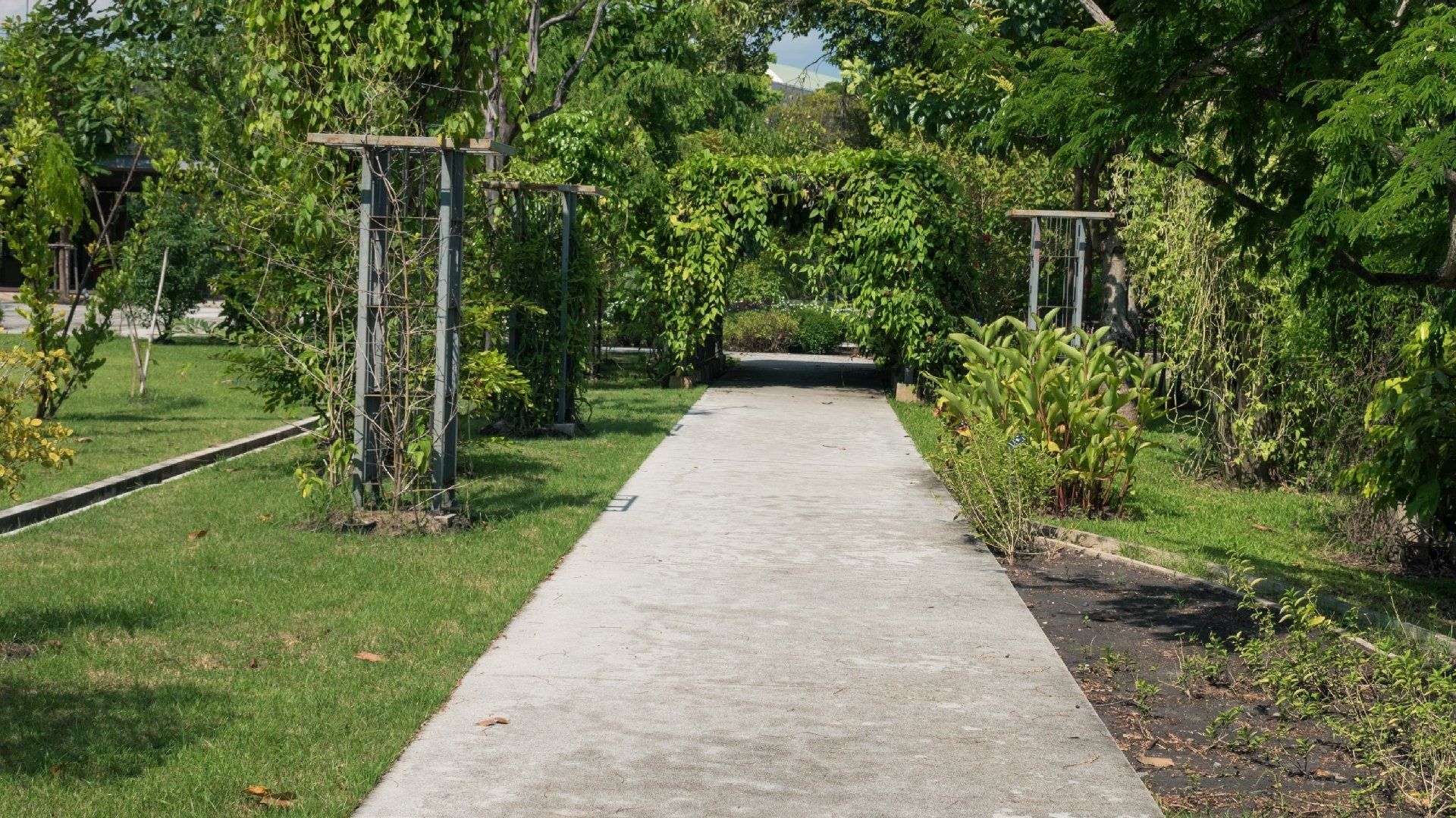 Concrete path through a lush green park, leading to a shaded opening with vines. Metal supports line the path.