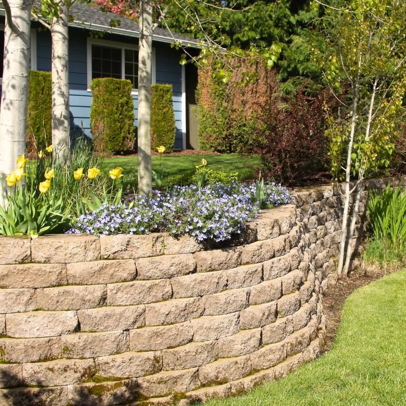A stone wall with flowers and trees in front of a house
