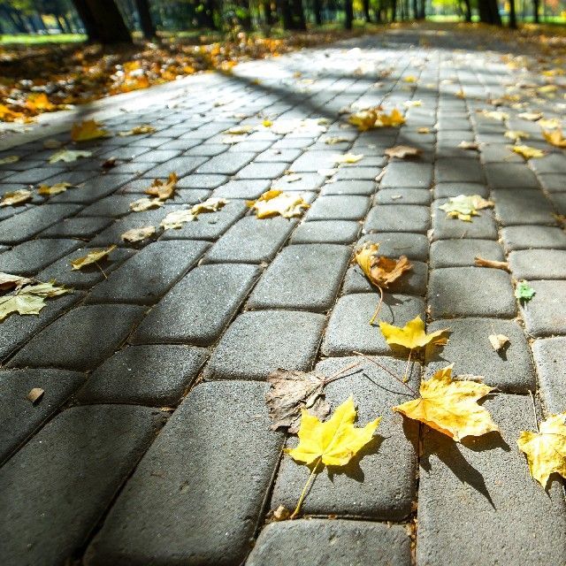 A brick walkway with yellow leaves on it
