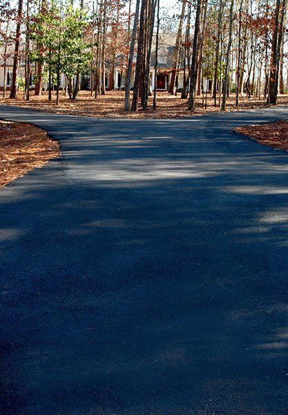 Asphalt driveways with trees