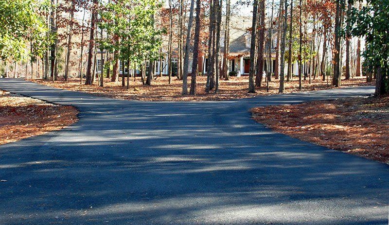 New Asphalt Paving with Trees