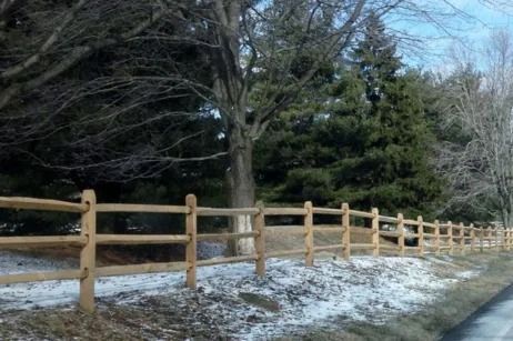 A two-rail wooden split-rail fence runs along a snowy roadside, bordered by a line of evergreen and deciduous trees.