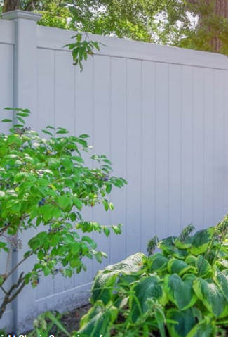 A light-colored vinyl privacy fence stands behind a leafy green bush and a patch of hosta plants.