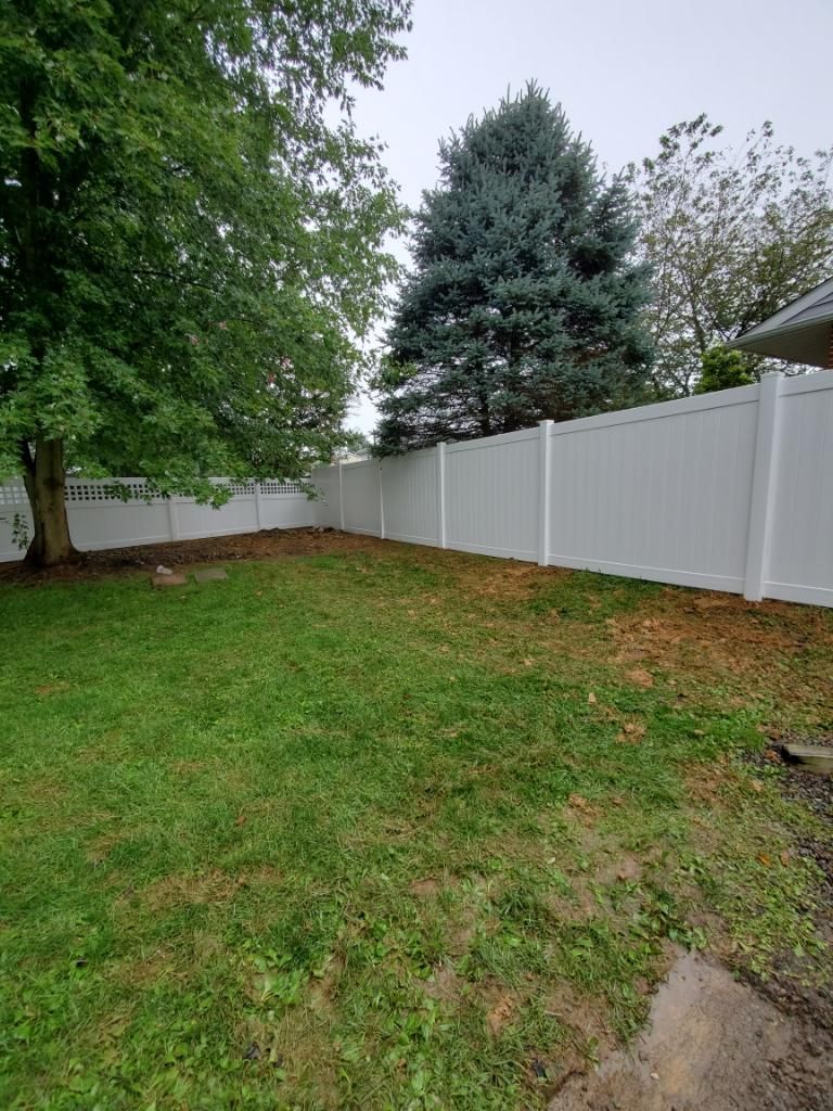 A backyard lawn with a white vinyl fence, a large deciduous tree on the left, and a tall evergreen tree in the background.