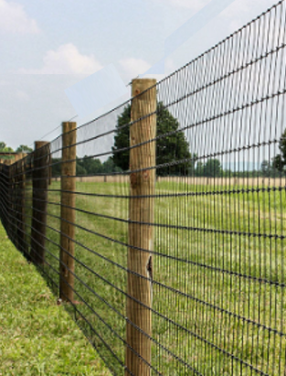 A wire mesh agricultural fence with wooden posts stretches across a grassy field under a clear sky.