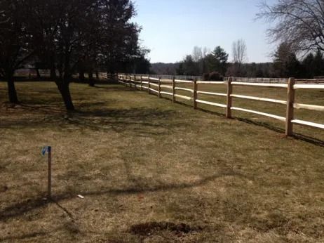 A three-rail wooden fence lines a field on a sunny day with trees in the background.