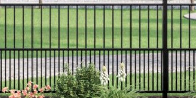 A black metal fence separates a green lawn and a walkway, with small green shrubs and light-colored flowers in the front.