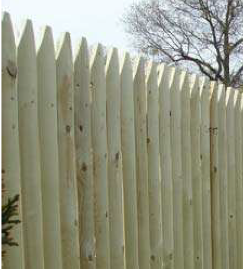 A close-up view of a light-colored wood picket fence with pointed tops, set against a blurred tree and sky.
