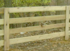 A wooden four-rail fence stands against a blurred background of trees and leaves.