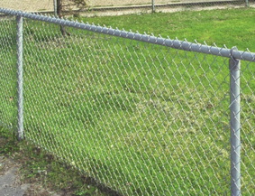A metal chain-link fence stretches across a green grass lawn.