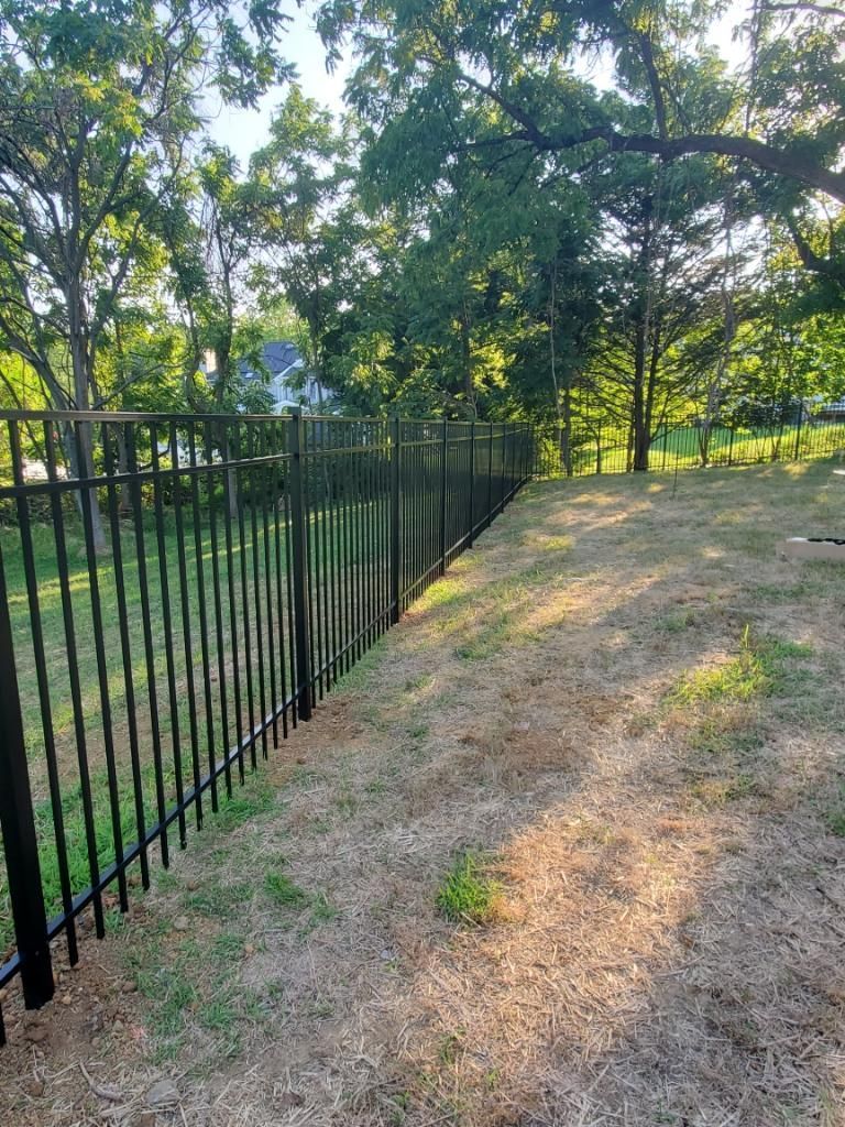 A black metal picket fence runs along a grassy, partially shaded yard bordered by trees.