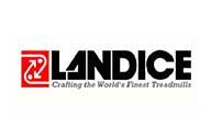 Landice