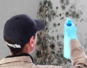 Mold removal