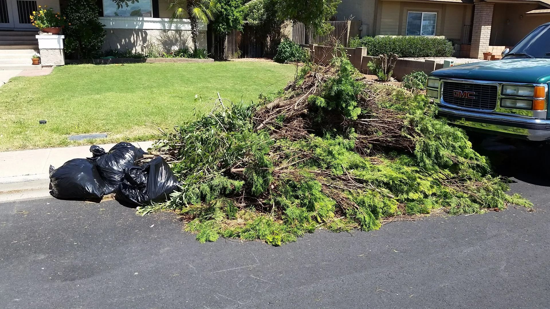 Pile of yard waste and black trash bags on a paved street next to a truck and lawn.