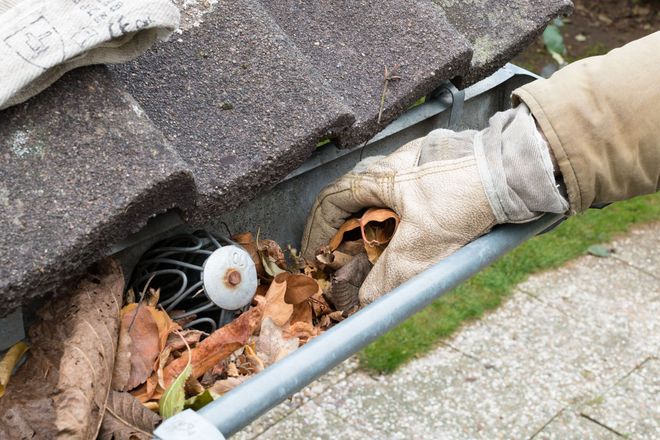 Gloved hand clearing leaves from a roof gutter beside a downspout and shingles
