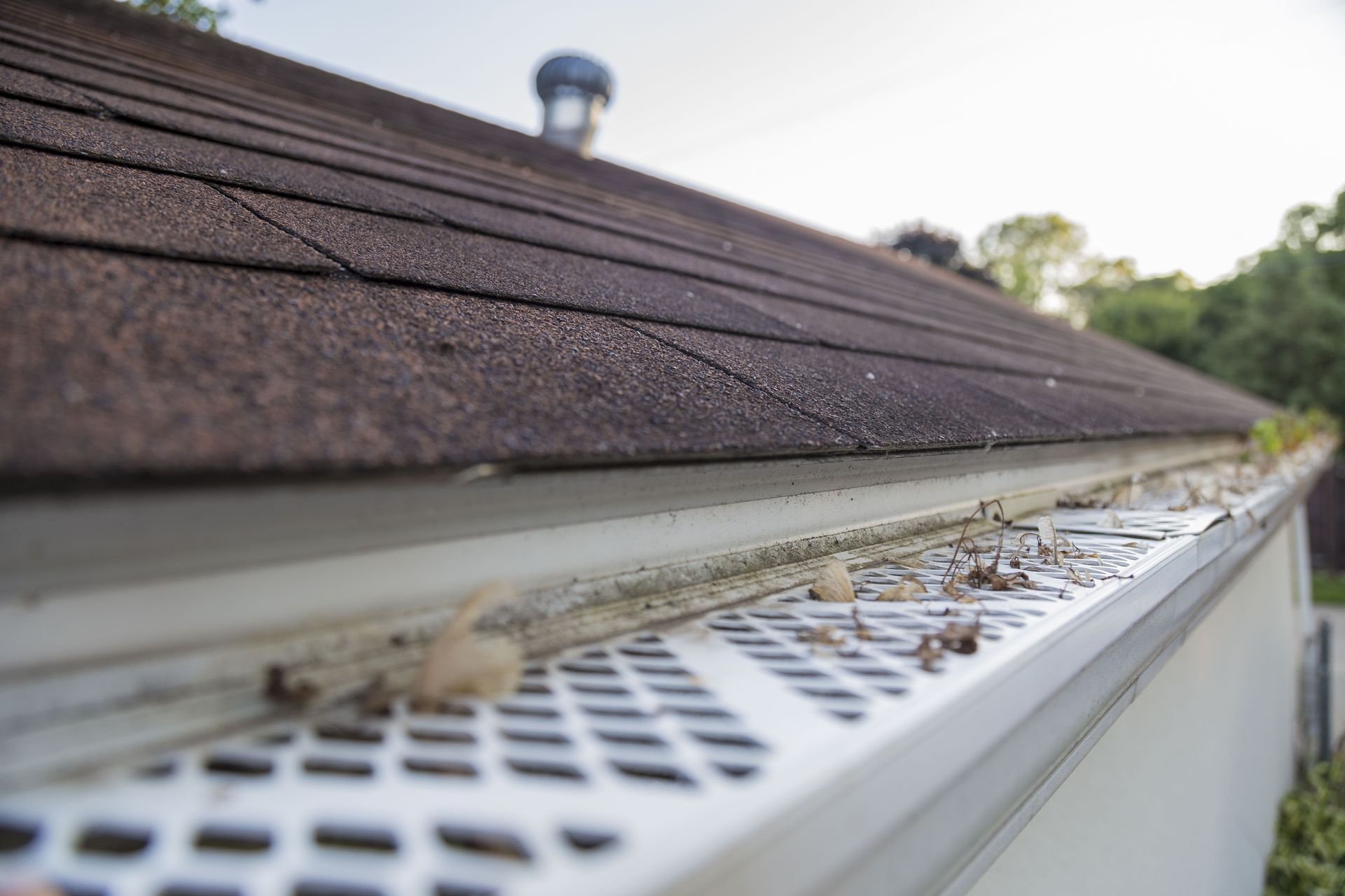 Dirty gutter beneath brown shingled roof with leaves and debris along the edge