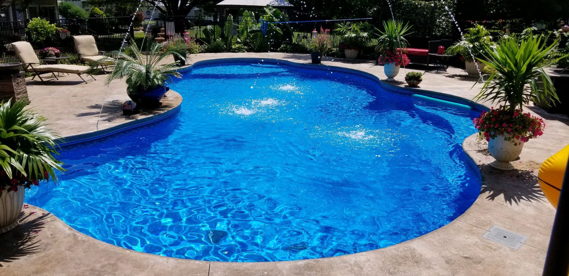 A large swimming pool surrounded by plants and chairs in a backyard.