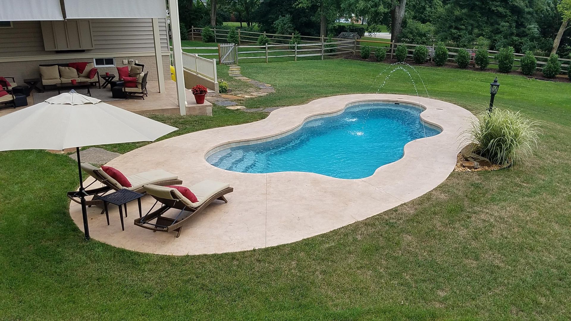 A large swimming pool is surrounded by lawn chairs and umbrellas in a backyard.