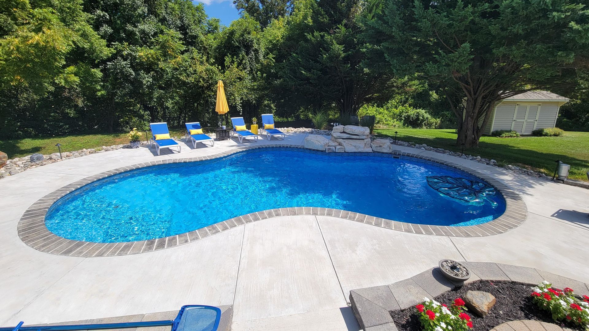 A large swimming pool surrounded by chairs and umbrellas in a backyard.