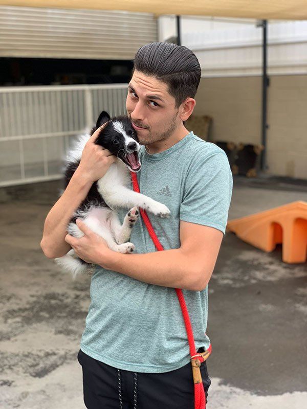 Pet Gallery Riverwalk Pet Resort