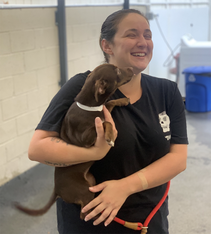 Pet Gallery Riverwalk Pet Resort